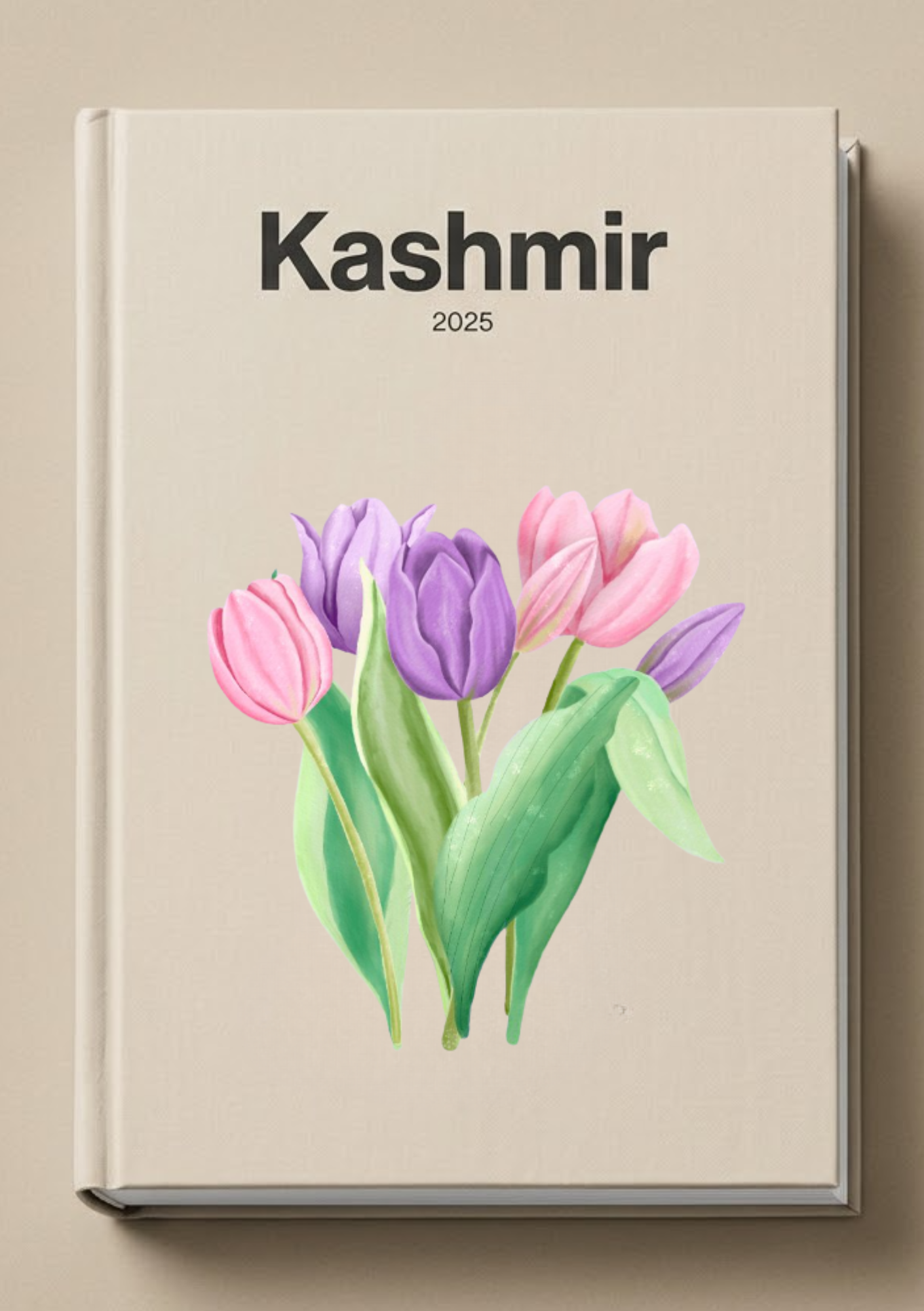 Kashmir 4